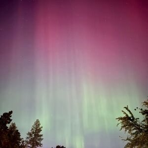 Meet your Posher, Karmen